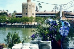 BARRA-2